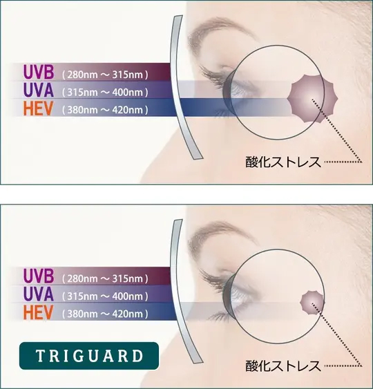 HEV420領域をカットすると、どういう効果が期待できるのか？